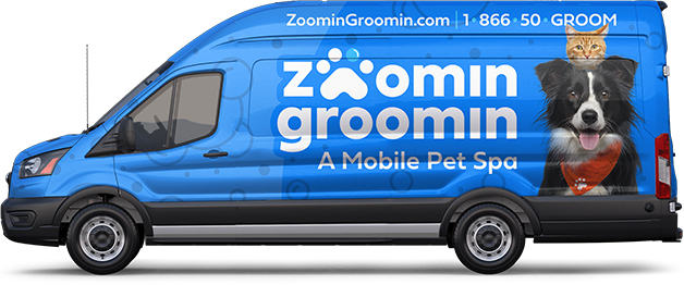 zoomin groomin mobile pet groomer van