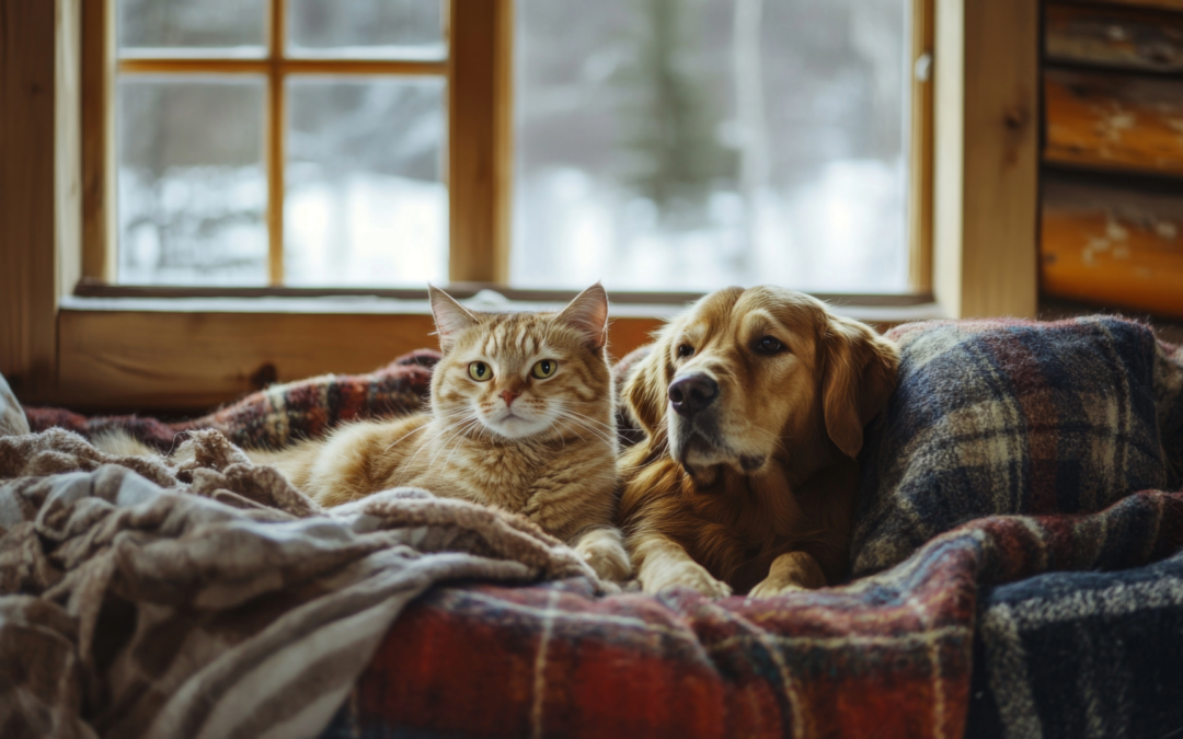 Boredom Busters: Indoor Enrichment Your Dog Will Love