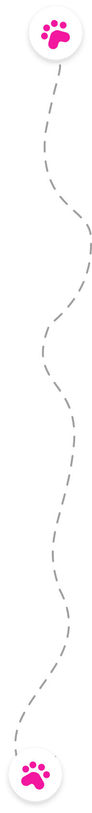 step-by-step grooming session